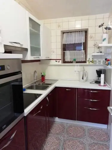 Apartment Branko