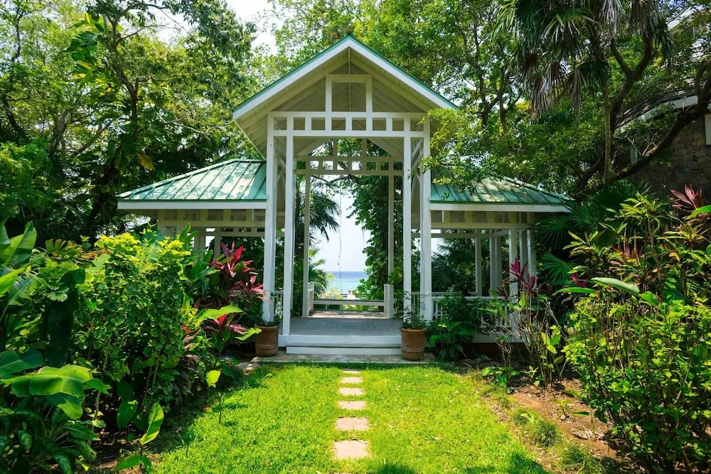 Lemon Tree House