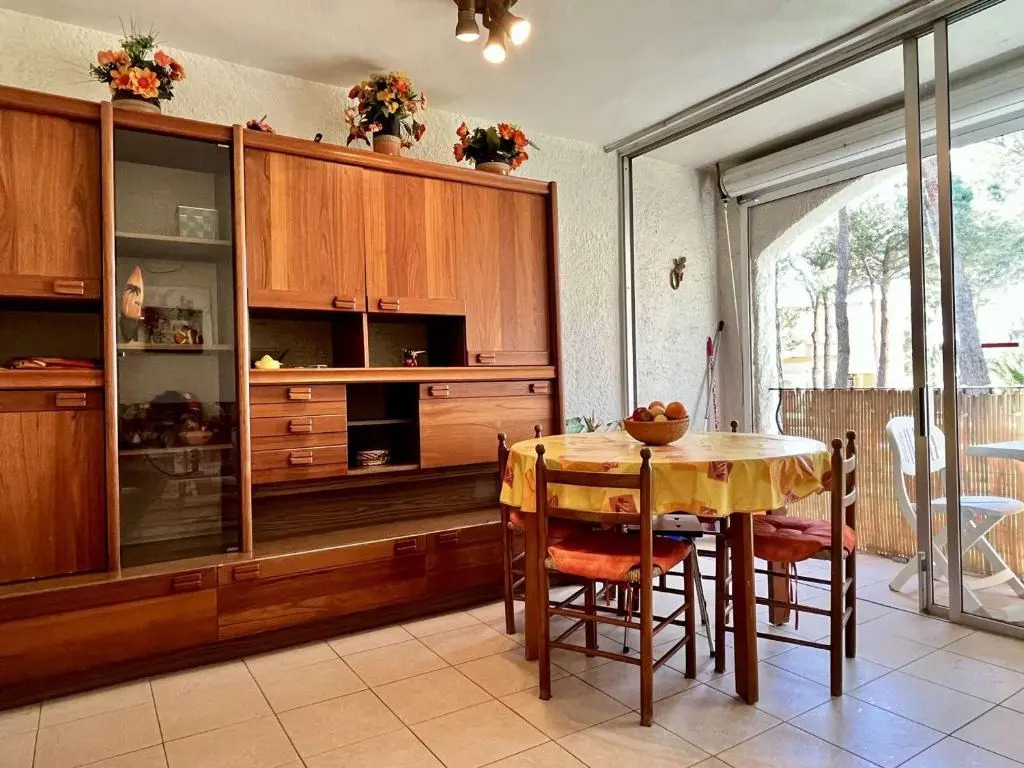 Appartement Argelès-sur-Mer, 1 pièce, 4 personnes - FR-1-225-86