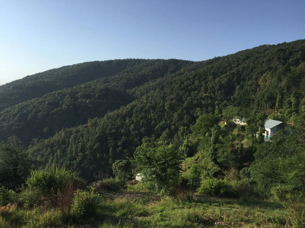 The Ayali Fernhill Resort, Chail