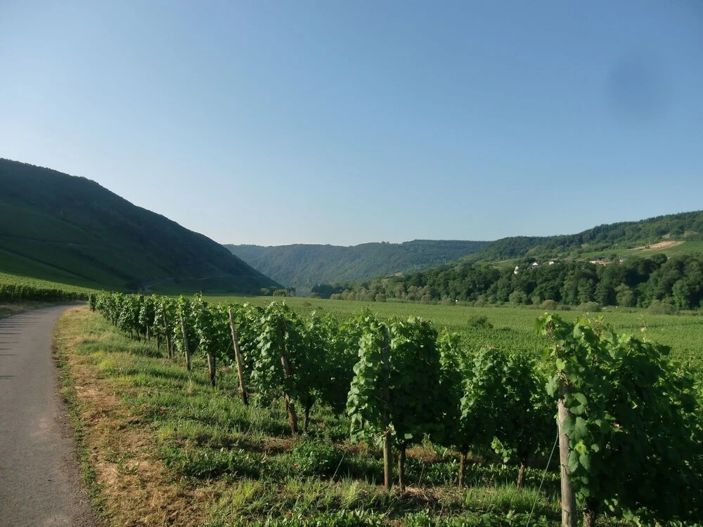 Beautifully Restored And Renovated House in the Most Beautiful Town on the Mosel