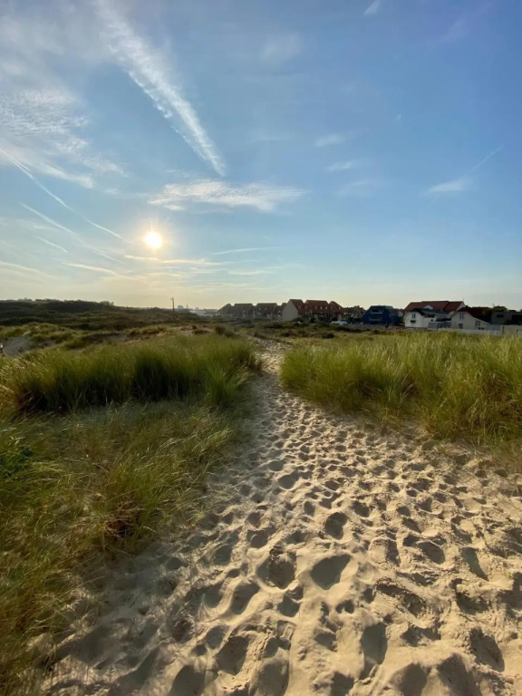 Studio Cosy En Bord de Mer (Adults Only)