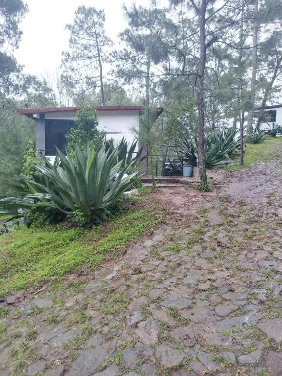 Mazamitla Pinos del Rio