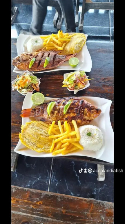 acualandiafish