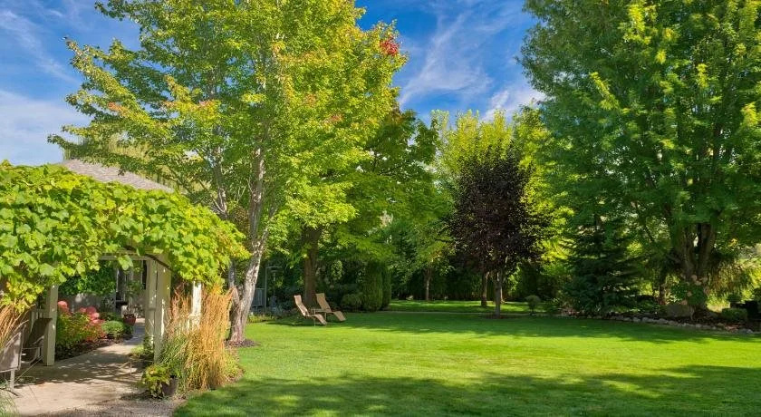 Serenata Guesthouse & Vineyard Retreat