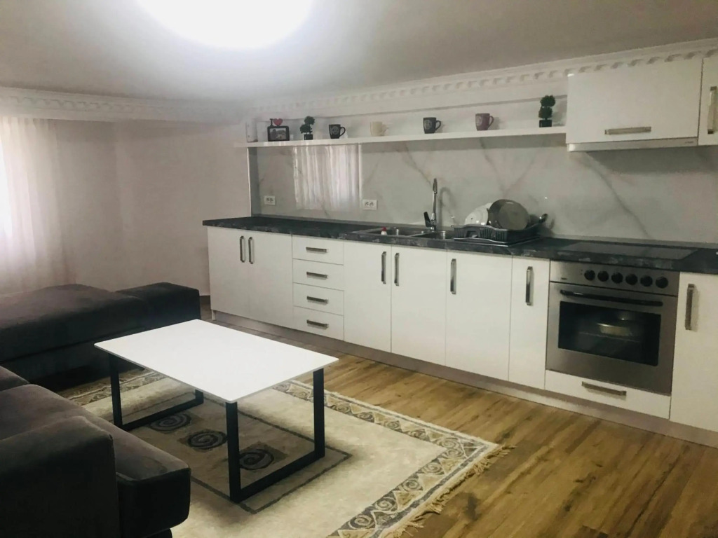Green house, 2 bedrooms & 1 kitchen apartment, located in Elbasan city center