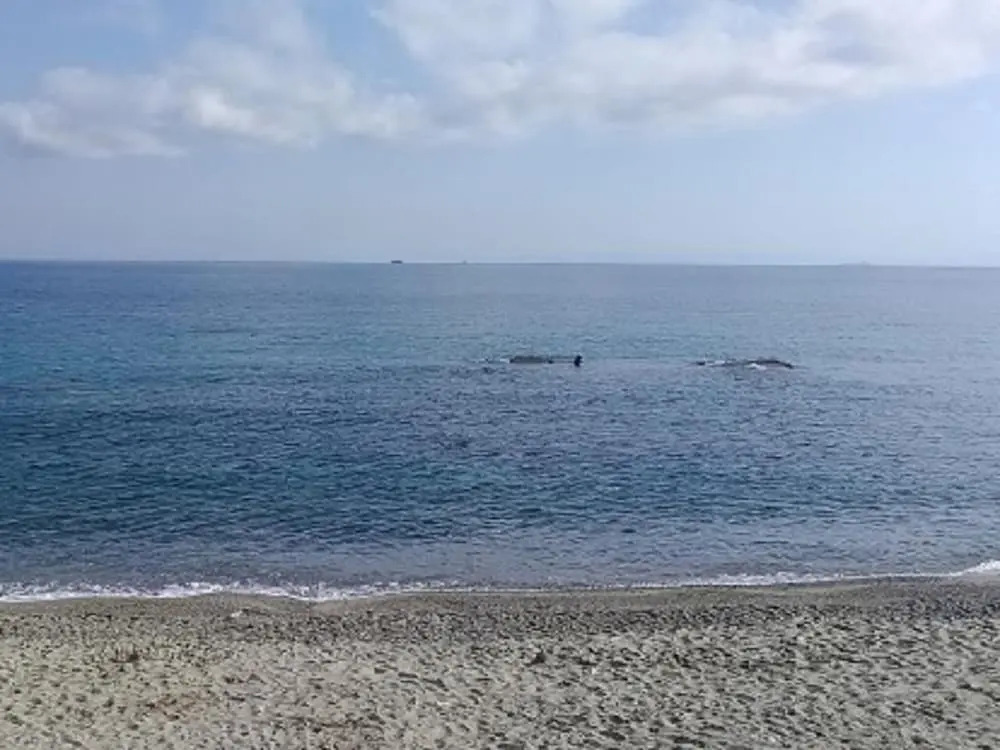 Lovely Villa in Messina near Sea Beach