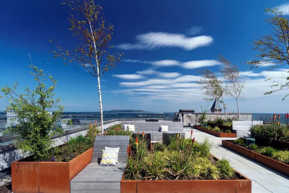 Niche Living - Dun Laoghaire