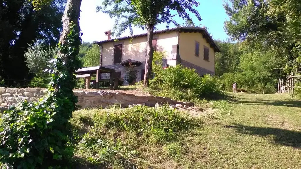 Il Gelso Rosso