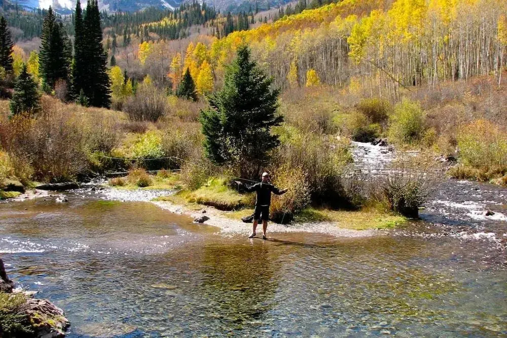Seasons Four by Snowmass Vacations