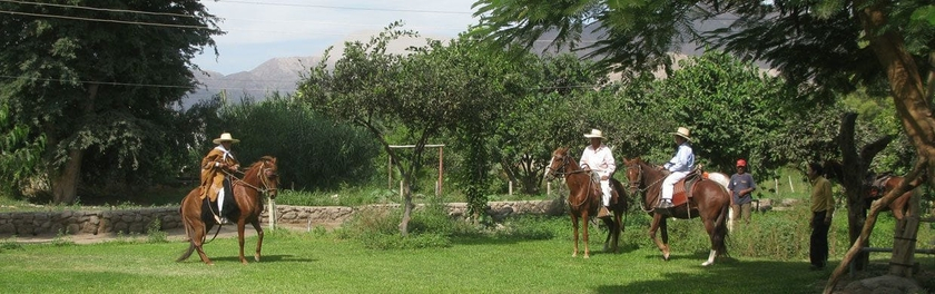 Hotel Fundo San Rafael