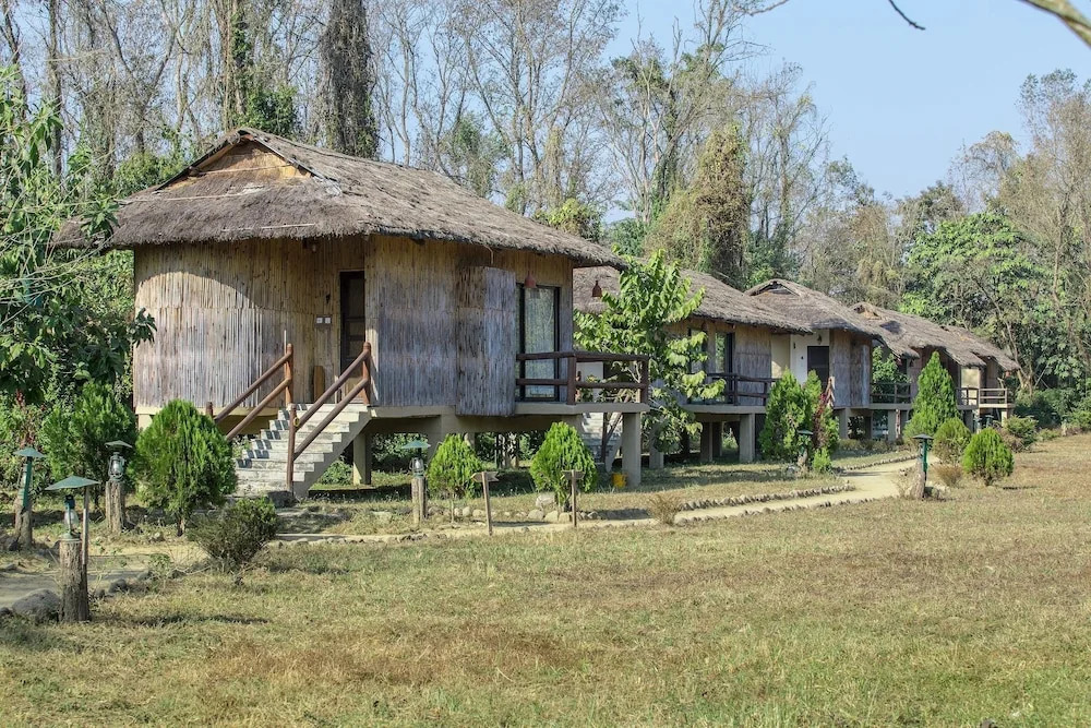 Temple Tiger Green Jungle Resort