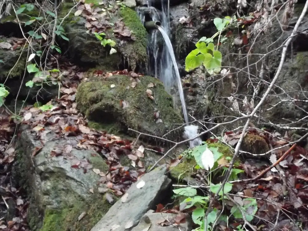 Montaña Palentina