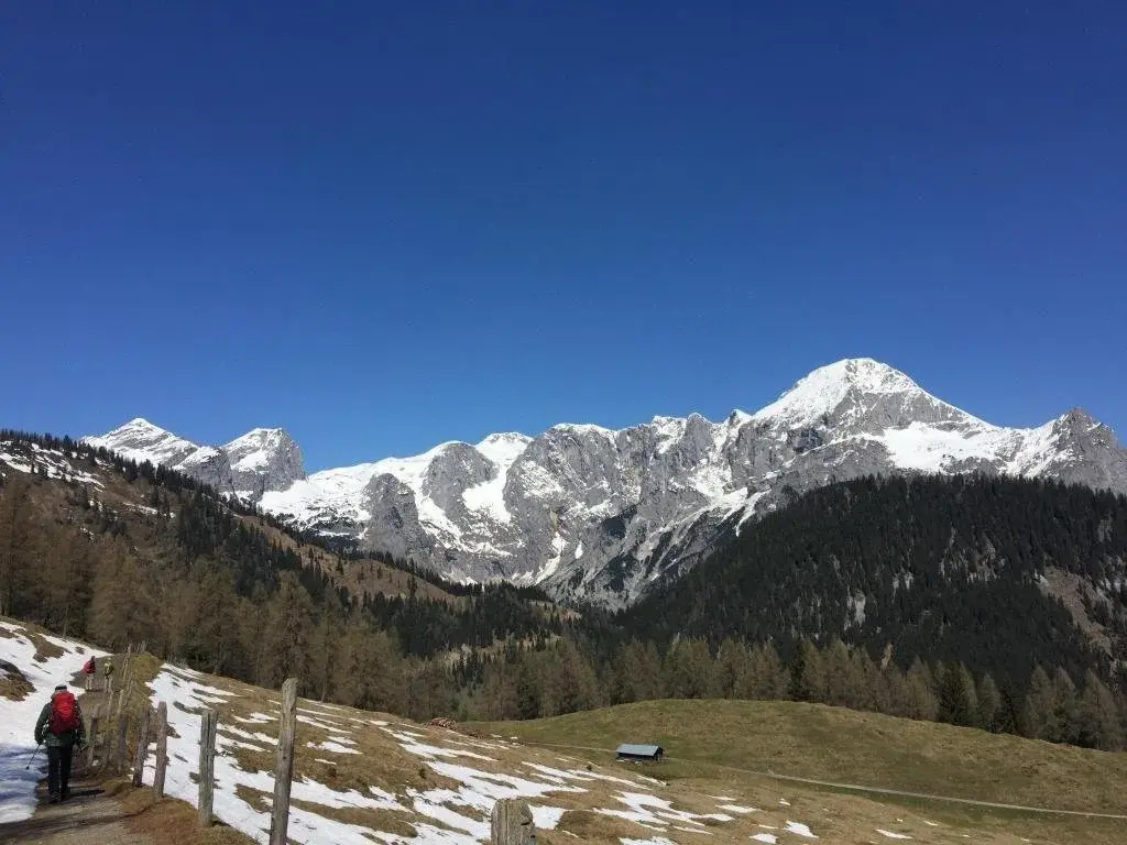 Apartments Alpenfrieden
