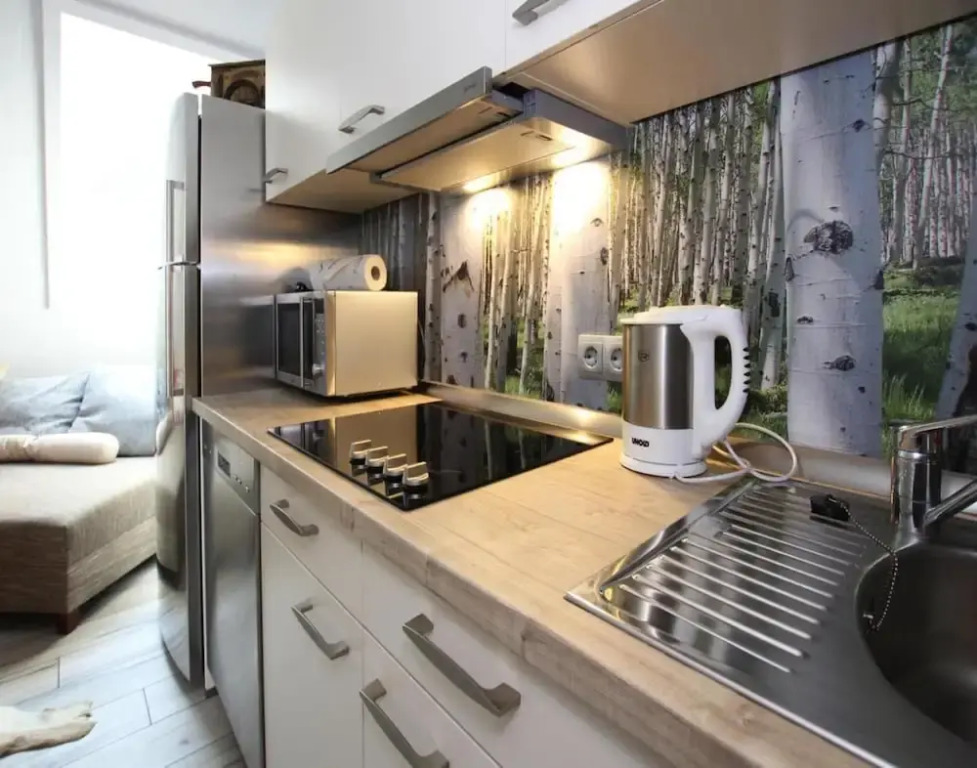 Apartment in Bad Sachsa Near Harz Mountains