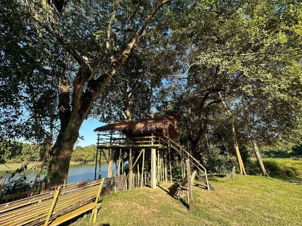Jungleciti House Kaziranga National Park