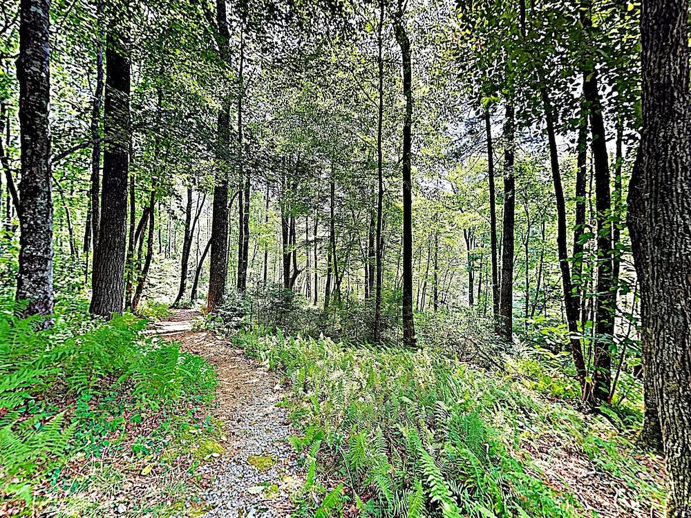 New Listing! Bear Creek On Hogback Lake 3 Bedroom Home
