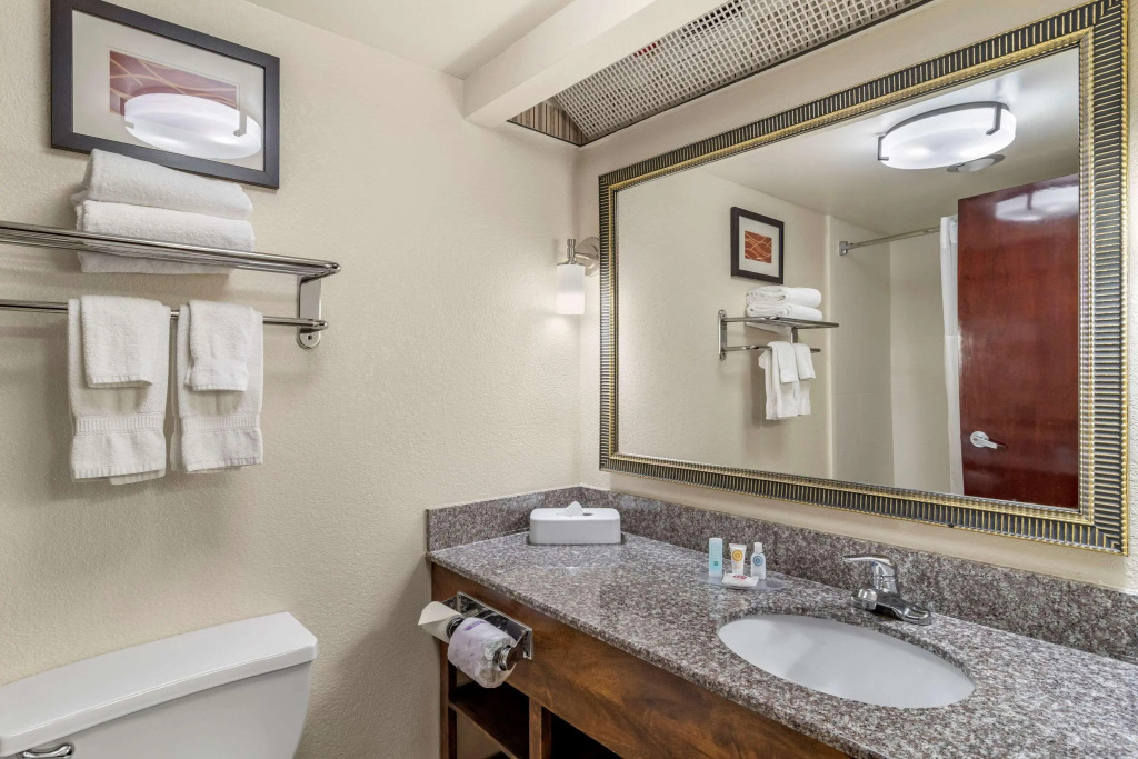 Comfort Inn & Suites Athens North