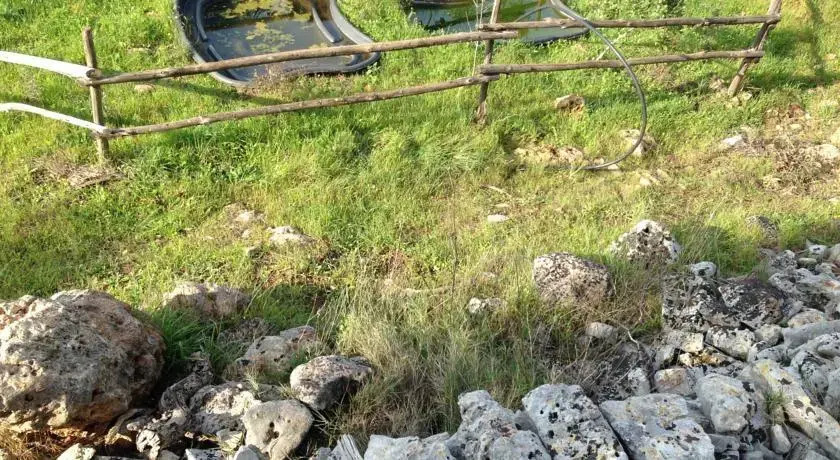 Appartamento in Ostuni
