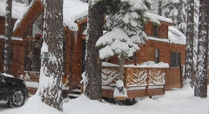 Knotty Pine Cabin