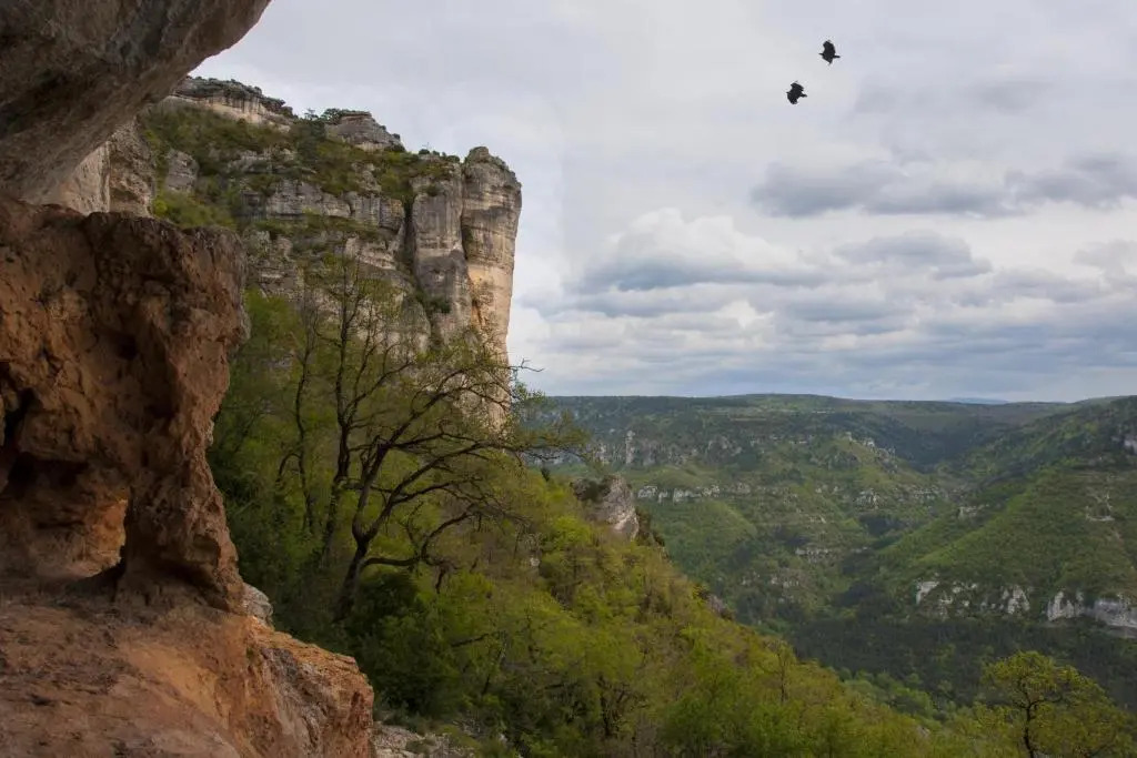 Le Colombier Saint-Véran