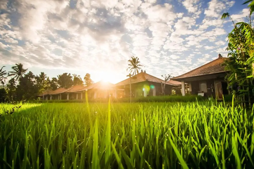 Sri Lestari Banyuatis