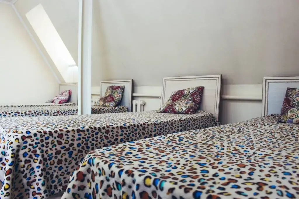 Guesthouse on Zhibek-Zholu 479