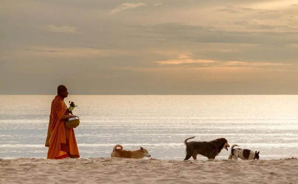 Silan Residence, Koh Phangan - An authentic village experience