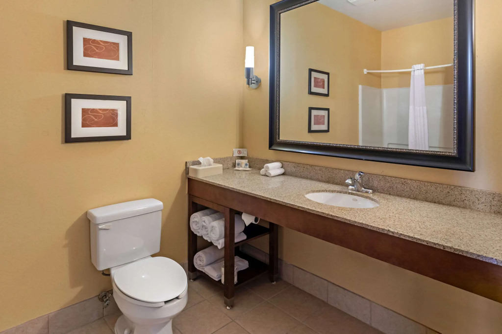 Comfort Suites McKinney-Allen