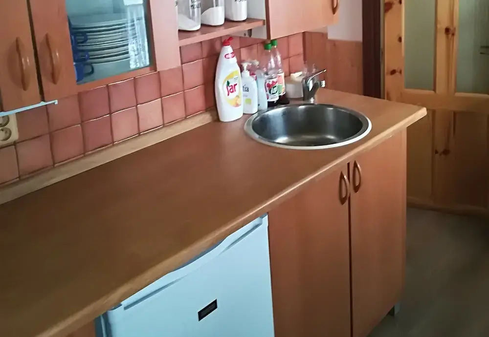 House in Bohemian near Ski Slope