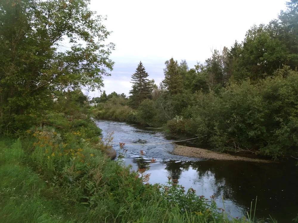 Отель Alila