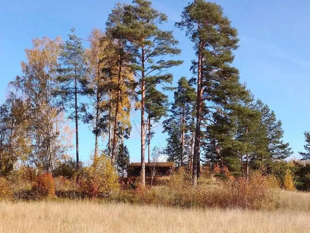 Hopeaniemi Resort