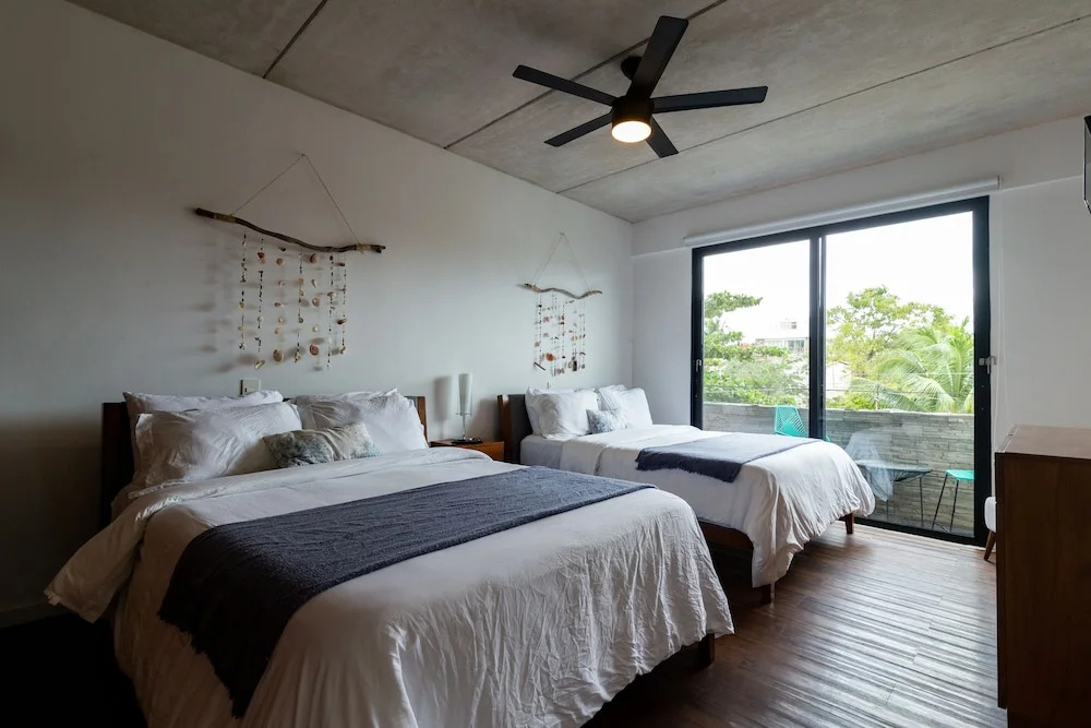 Areca 201 by CocoBR