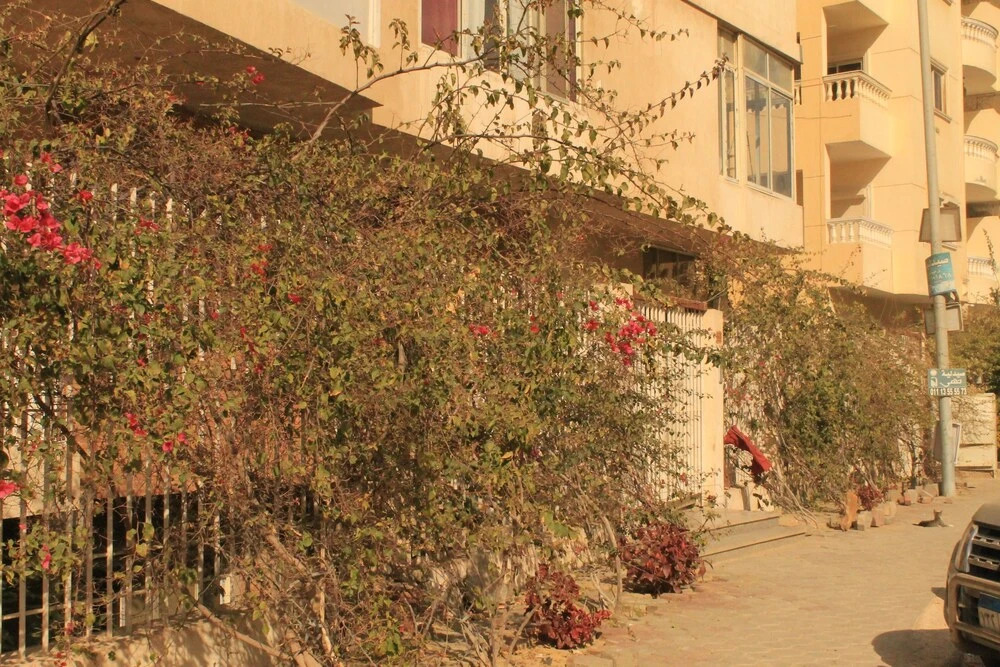 610 Hostel