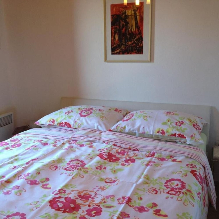 Apartment Iva