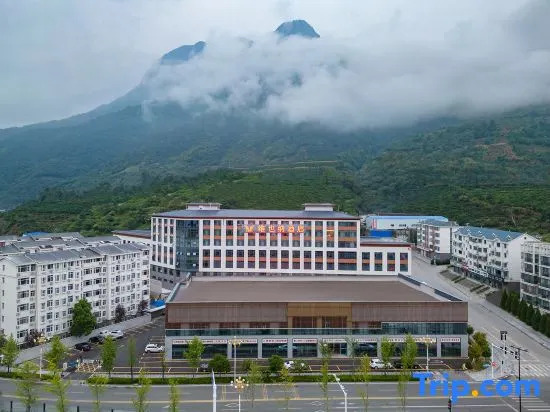 Vienna Hotel（Xingshan High Speed Rail Station Store）