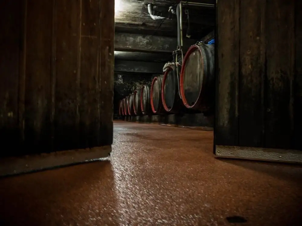 Weingut Tiliahof