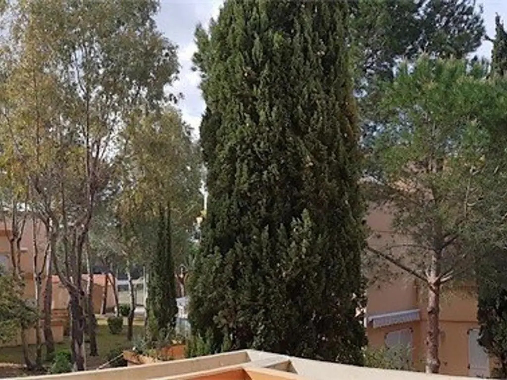Appartement Argelès-sur-Mer, 2 pièces, 5 personnes - FR-1-388-126