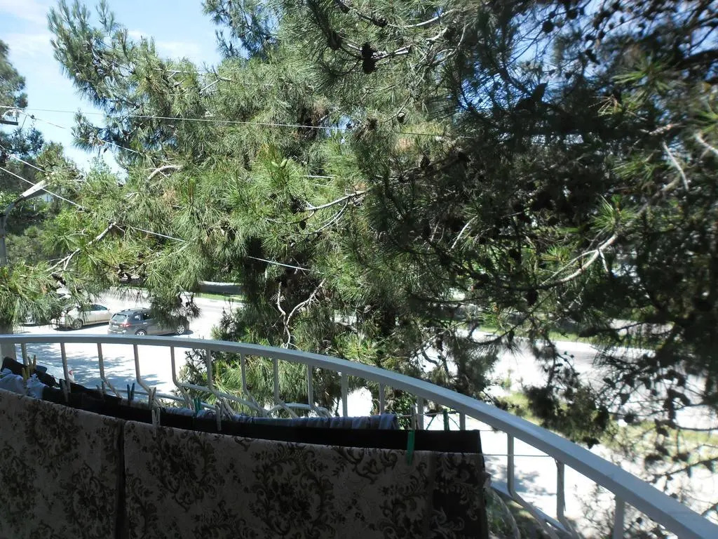 Guest house Bely Zamok