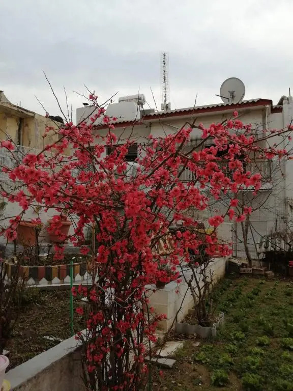 2020 renovated, sunny apartment with yard/garden