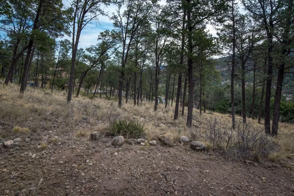 Ruidoso Three-bedroom