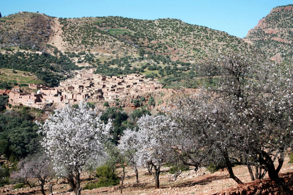 Riad Cascades dOuzoud