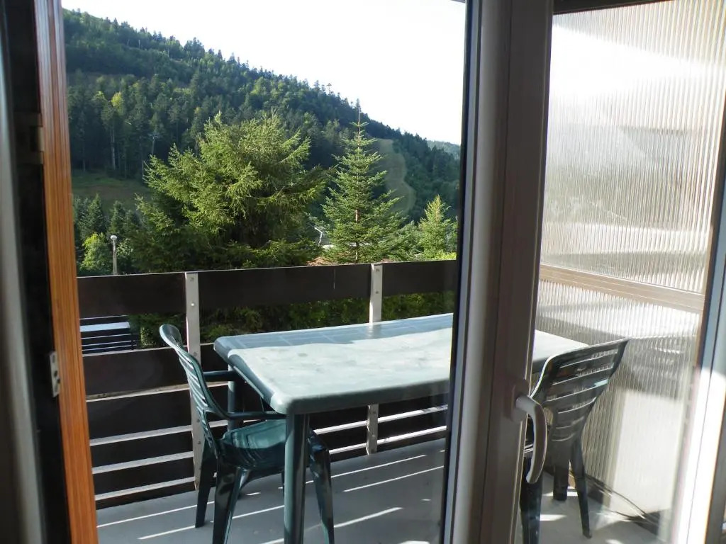 Appartement A La Bresse Hohneck
