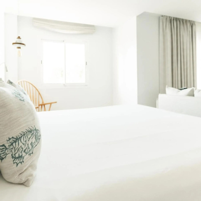 Hotel Boutique & Spa Las Mimosas Ibiza