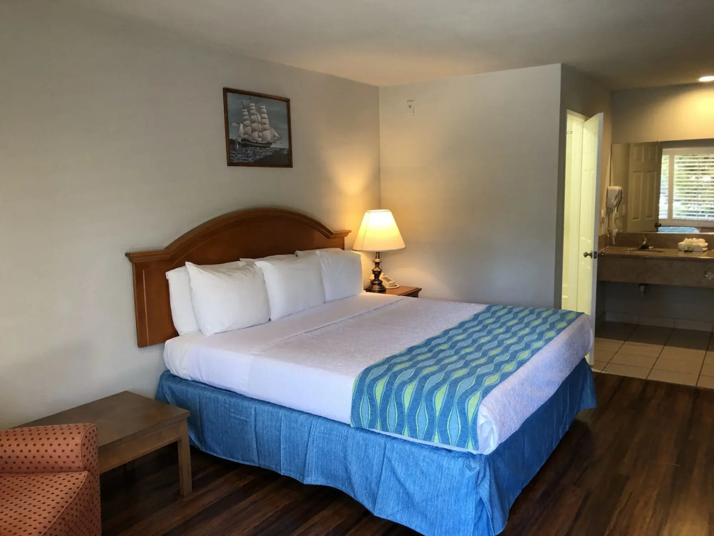 Alamo Inn & Suites
