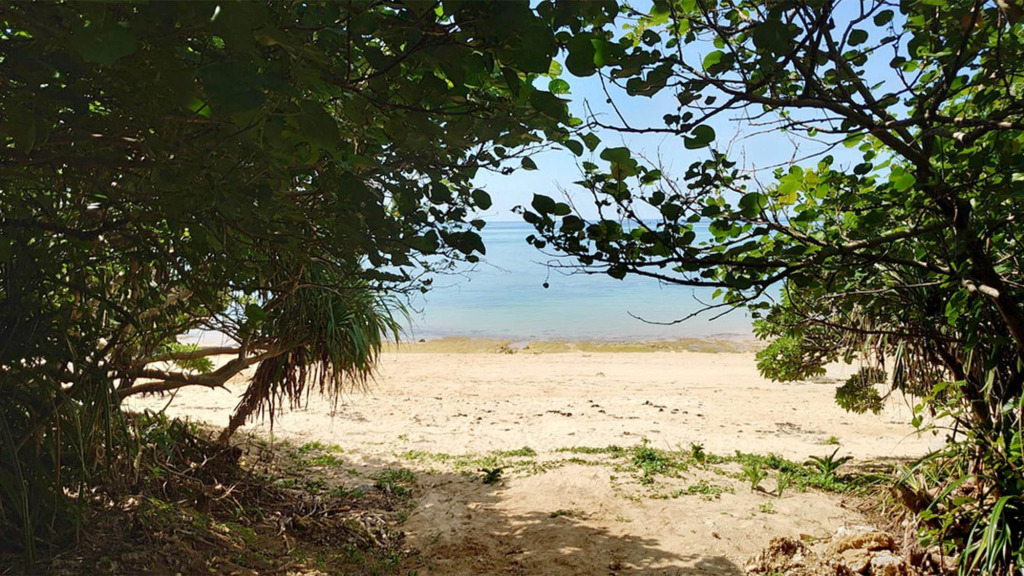 Cocoro Malolo