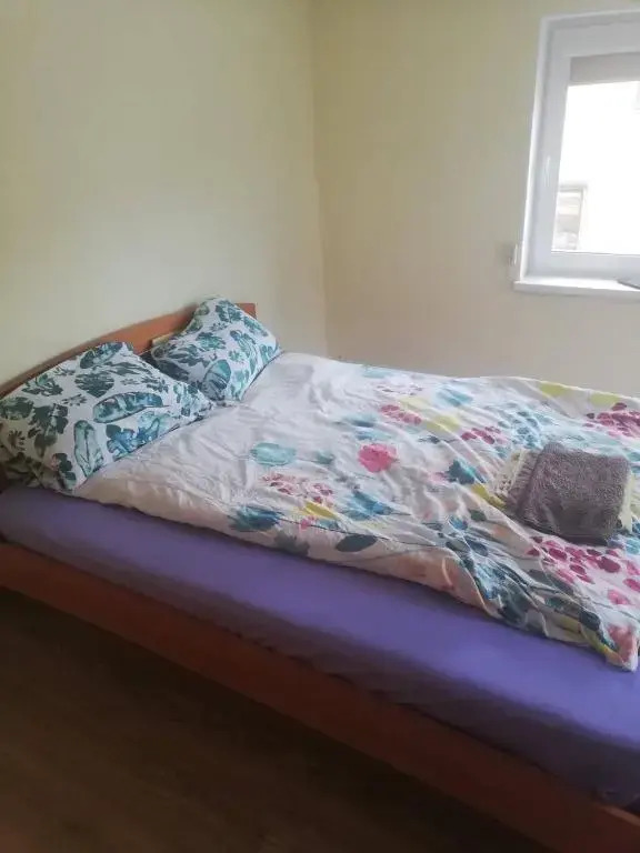 Nakvynė apgyvendinimo paslaugos DAIVOS NAKVYNĖS NAMAI