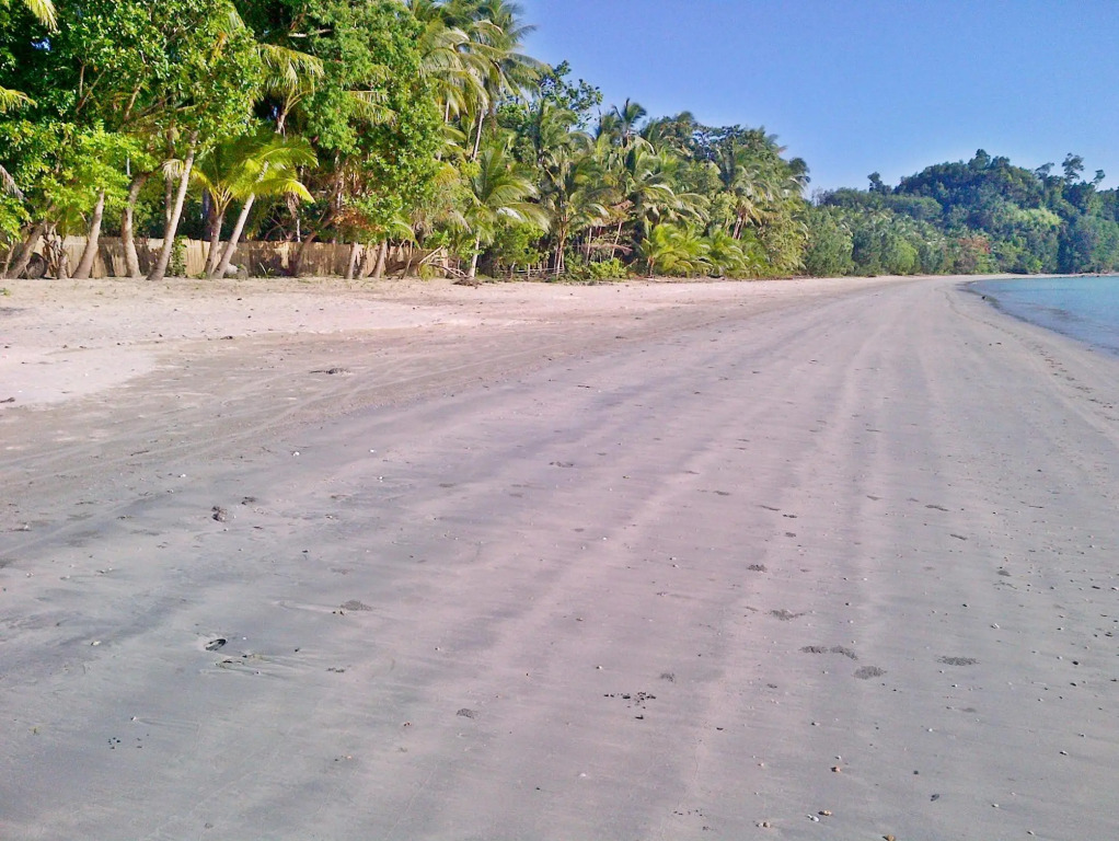 Foxys Beach Resort