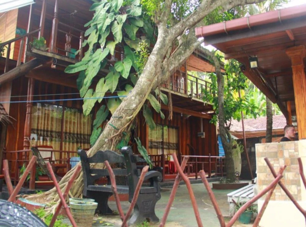 Dinu's Resort