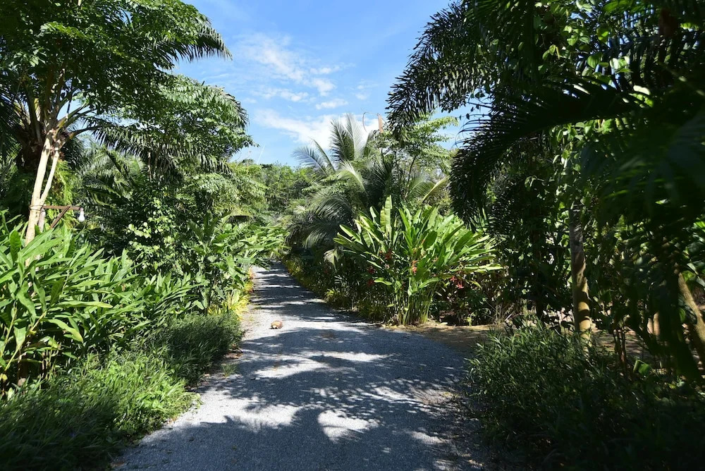 Baan Suan Farmstay